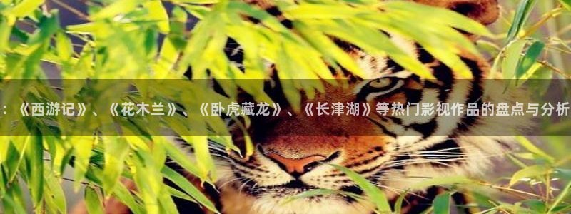 l伦理视频：：《西游记》、《花木兰》、《卧虎藏龙》、《长津湖》等热门影视作品的盘点与分析