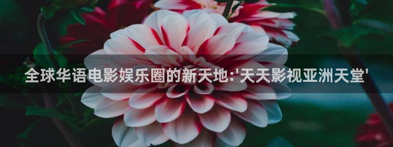 hd伦理影片：全球华语电影娱乐圈的新天地:\'天天影视亚洲天堂\'