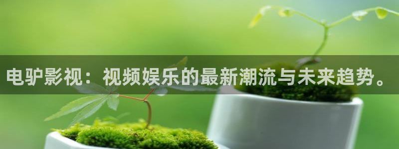 伦理视频 在线观看：电驴影视：视频娱乐的最新潮流与未来趋势。