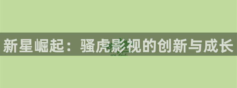 4480私人影院伦理影院：新星崛起：骚虎影视的创新与成长