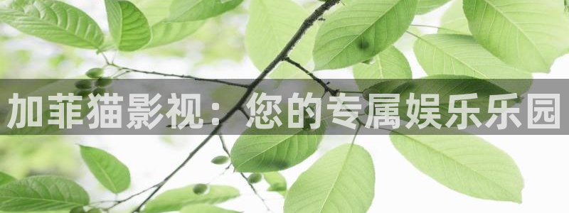 87伦理影院：加菲猫影视：您的专属娱乐乐园