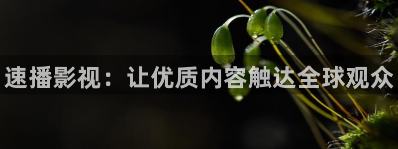 神马我不卡伦理影院：速播影视：让优质内容触达全球观众