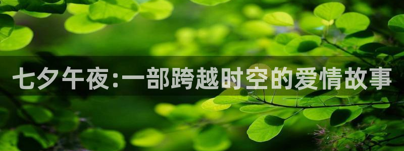 神马在线伦理视频在线观看：七夕午夜:一部跨越时空的爱情故事