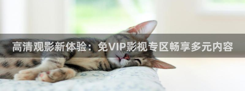 动漫伦理影片：高清观影新体验：免VIP影视专区畅享多元内容