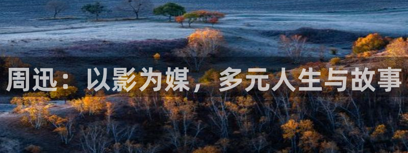 伦理影片播放器：周迅：以影为媒，多元人生与故事