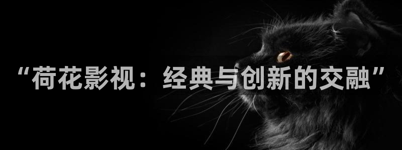777伦理影院：“荷花影视：经典与创新的交融”